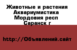 Животные и растения Аквариумистика. Мордовия респ.,Саранск г.